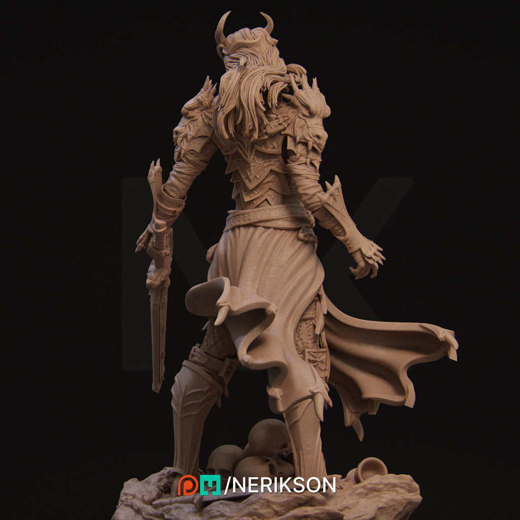 Aleehra the Dragon Knight Standalone Version Miniature Resin Model Kit | by Nerikson