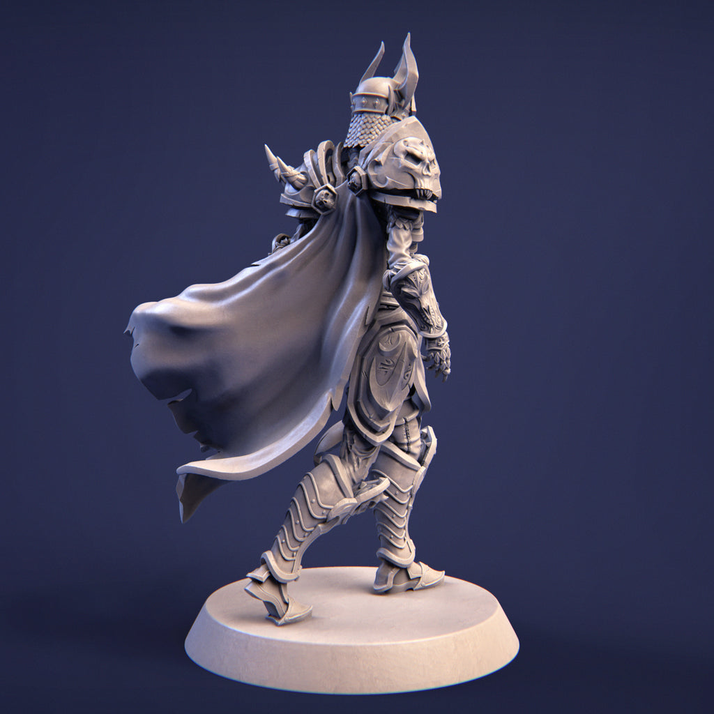 Ashinna the Revanant Miniature Resin Model Kit | by Nerikson