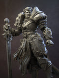 Itrek, Paladin of Dawn Miniature Resin Model Kit | by Nerikson